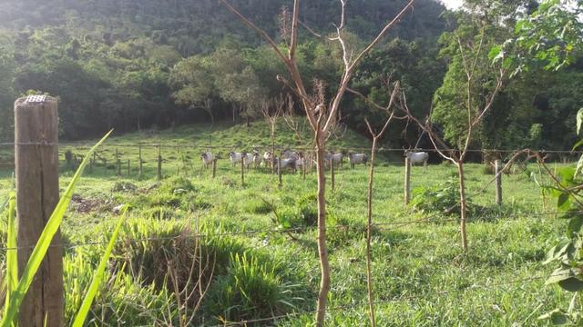 Fazenda com ótimo preço em Guarapari