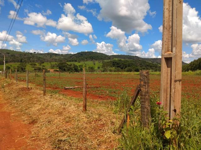 Vendo uma chácara em Bonfinópolis - Foto 3
