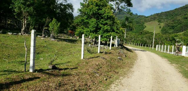 Lindo sitio Águas mornas/SC. Há 1.500 metros do asfalto, Estrada geral do Rio Novo - Foto 3