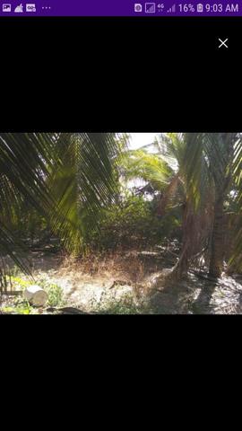 Vende-se um terreno no panaquatira - Foto 5