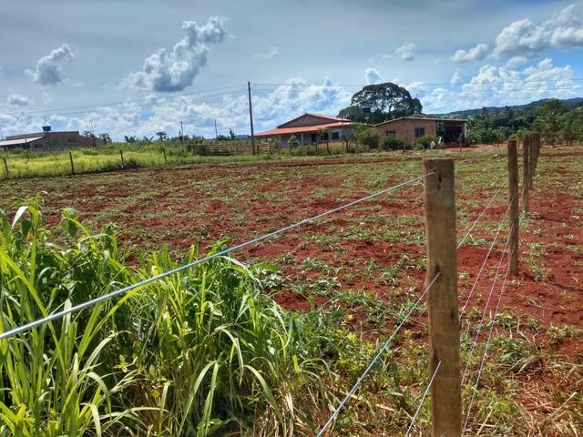 Vendo uma chácara em Bonfinópolis - Foto 2