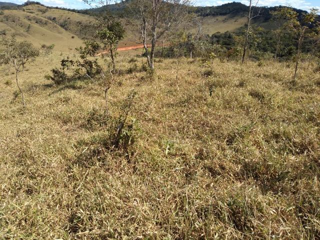 Fazenda - Foto 5
