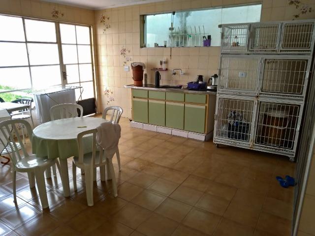 Pet Shop-Vila Guilherme - Foto 4