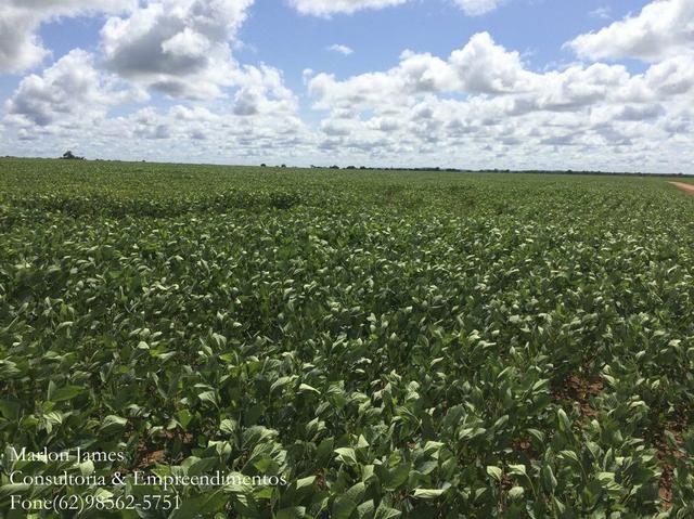 Fazenda em Mundo Novo! - Foto 12