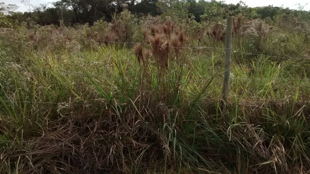 Oportunidade vende-se Chácara em Condomínio - Foto 2