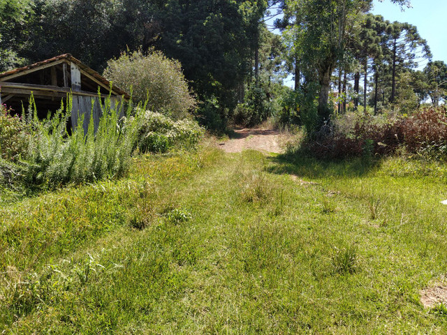 sitio Felipe - Foto 5
