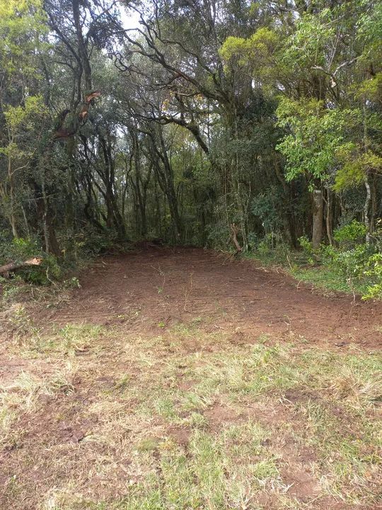 Chácara Faz. Ilhéus 2,0 Ha - Foto 9