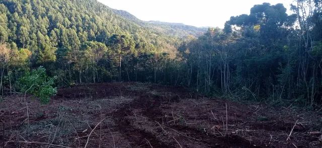 Chácara 21 hectares, valor 300,000,00 avista  - Foto 2