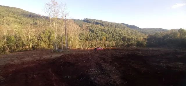 Chácara 21 hectares, valor 300,000,00 avista  - Foto 3
