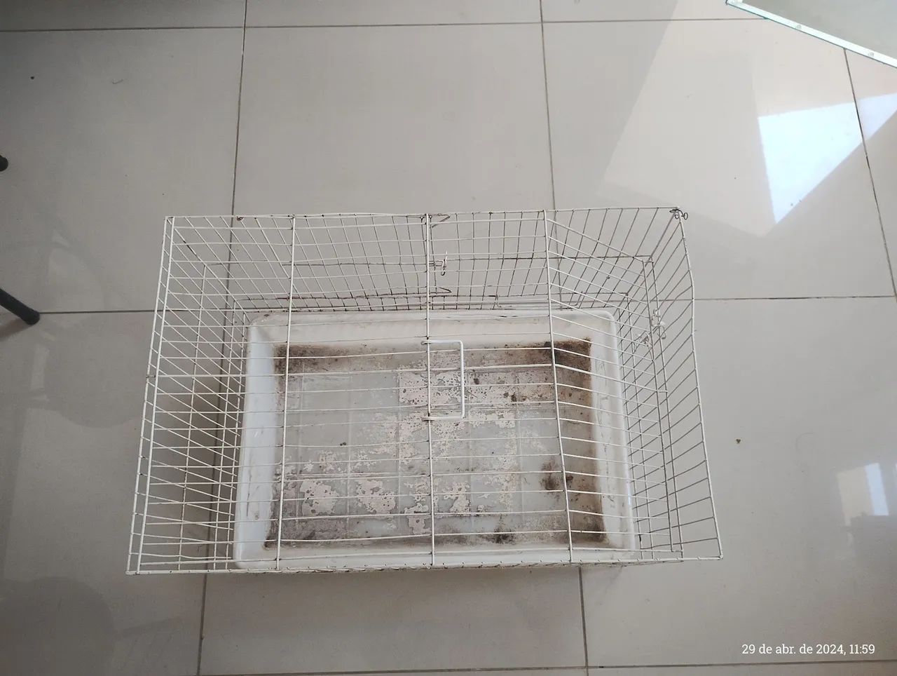 Gaiola para Porquinho da Índia ou Coelho  - Foto 2