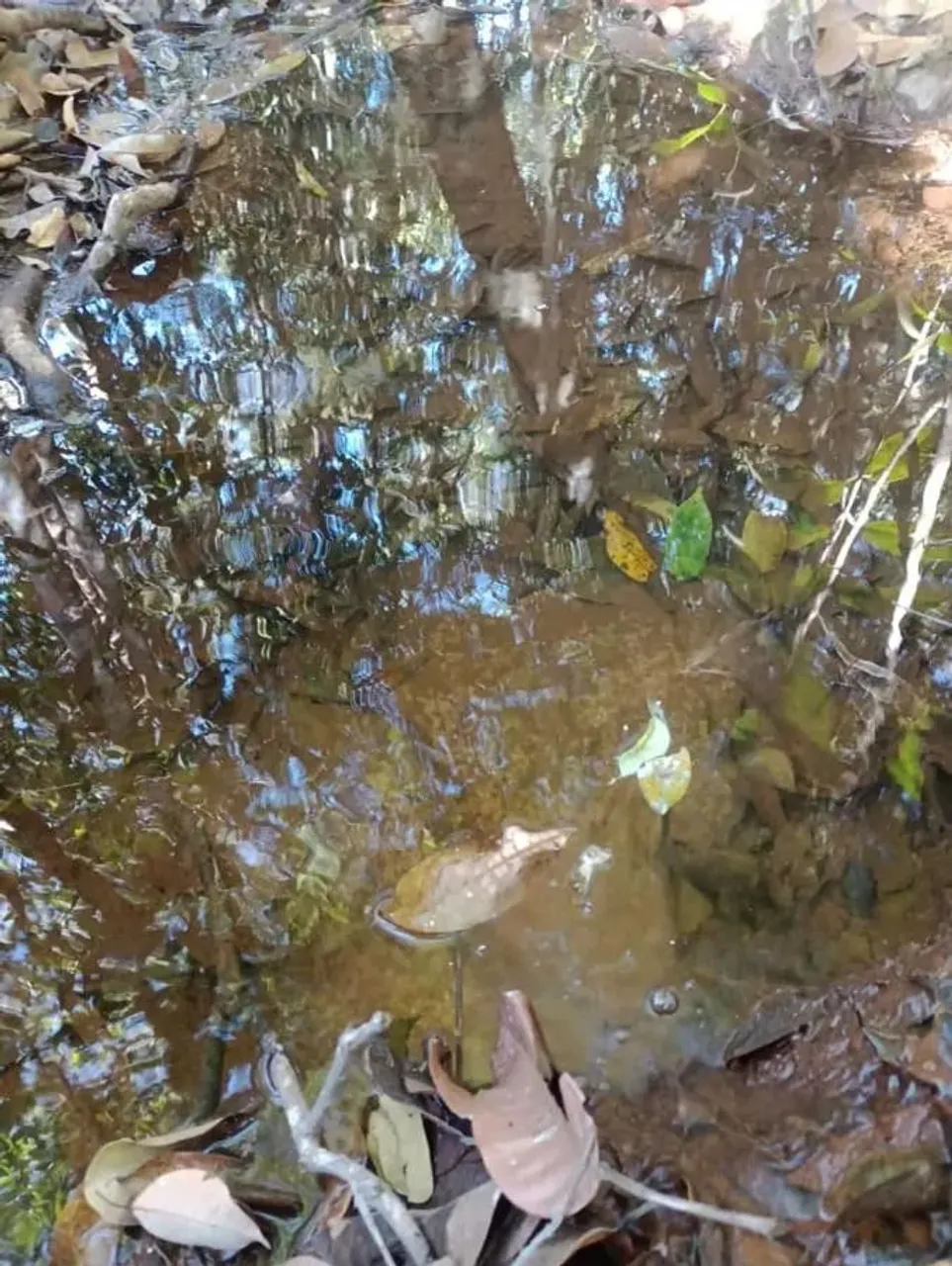 Sua Chácara de 20.000m2 pertinho de Brasília e Parcelas A Partir de 999,00