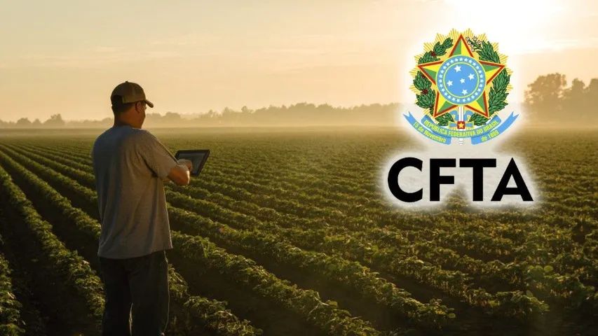 Serviços Agronômicos - Técnico Credenciado pelo CFTA