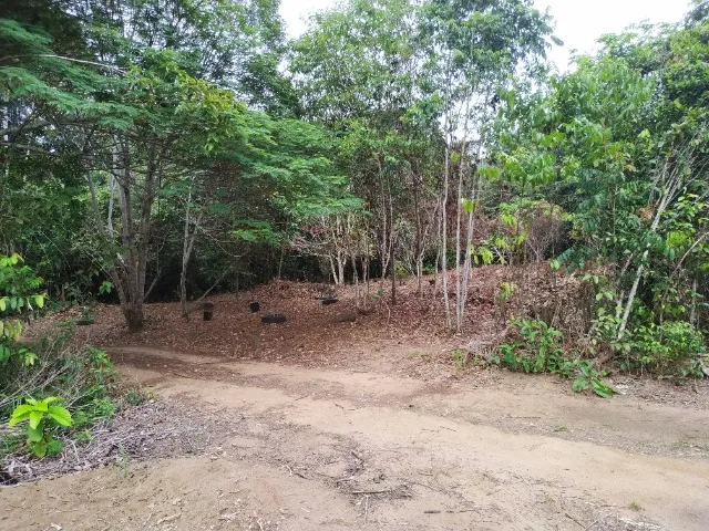 Vendo Terrenos no Ramal da Cacheira do Castanho (700m² ou 1400m² )