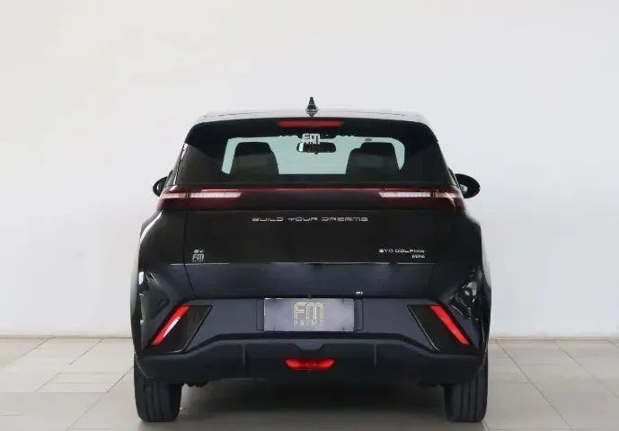 BYD Dolphin Mini GS EV Eletrico AT 2025 50KM - Estado de 0KM! - Foto 5