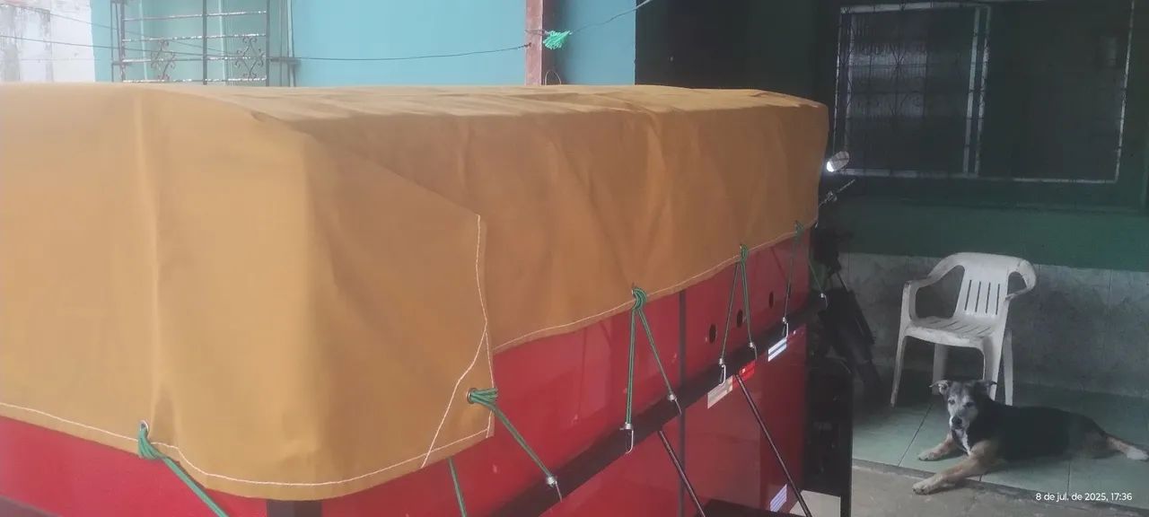 Carretinha legalizada  - Foto 5