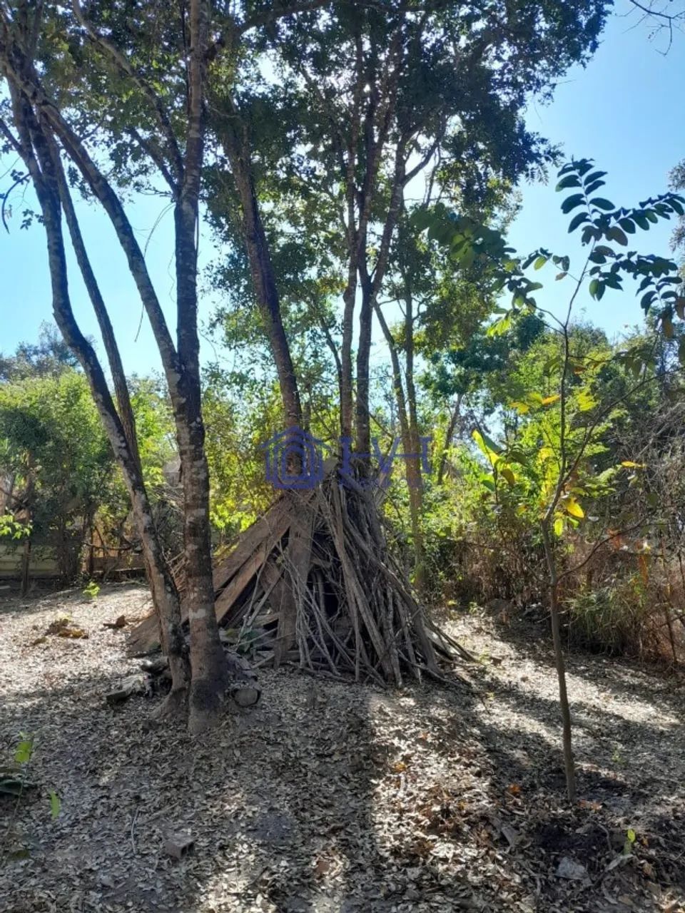 Chácara 1.200,00m² Santa Luzia Venda - Foto 5