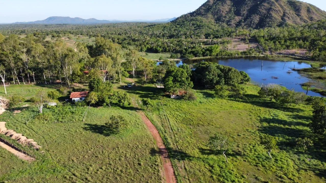 FAZENDA 439 ALQUEIRES PRODUTIVA
