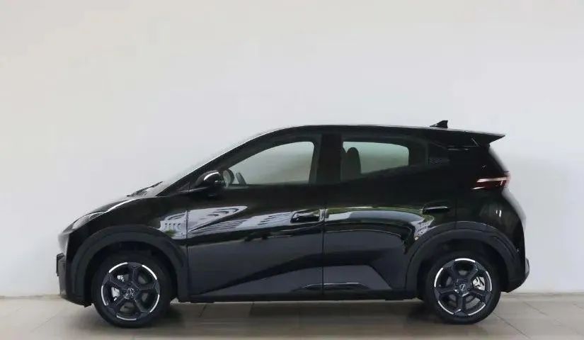 BYD Dolphin Mini GS EV Eletrico AT 2025 50KM - Estado de 0KM! - Foto 3