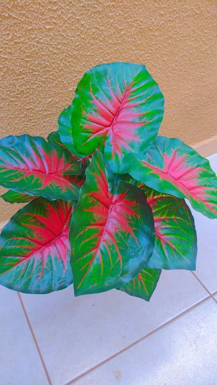 Planta Nova  - Foto 4