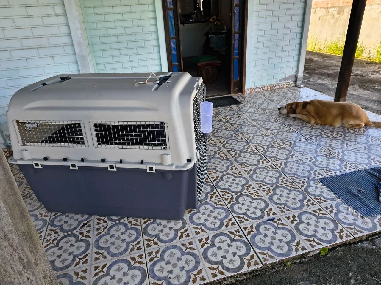 Caixa de Transporte Cobasi XG Padrão IATA para Pet - Foto 3