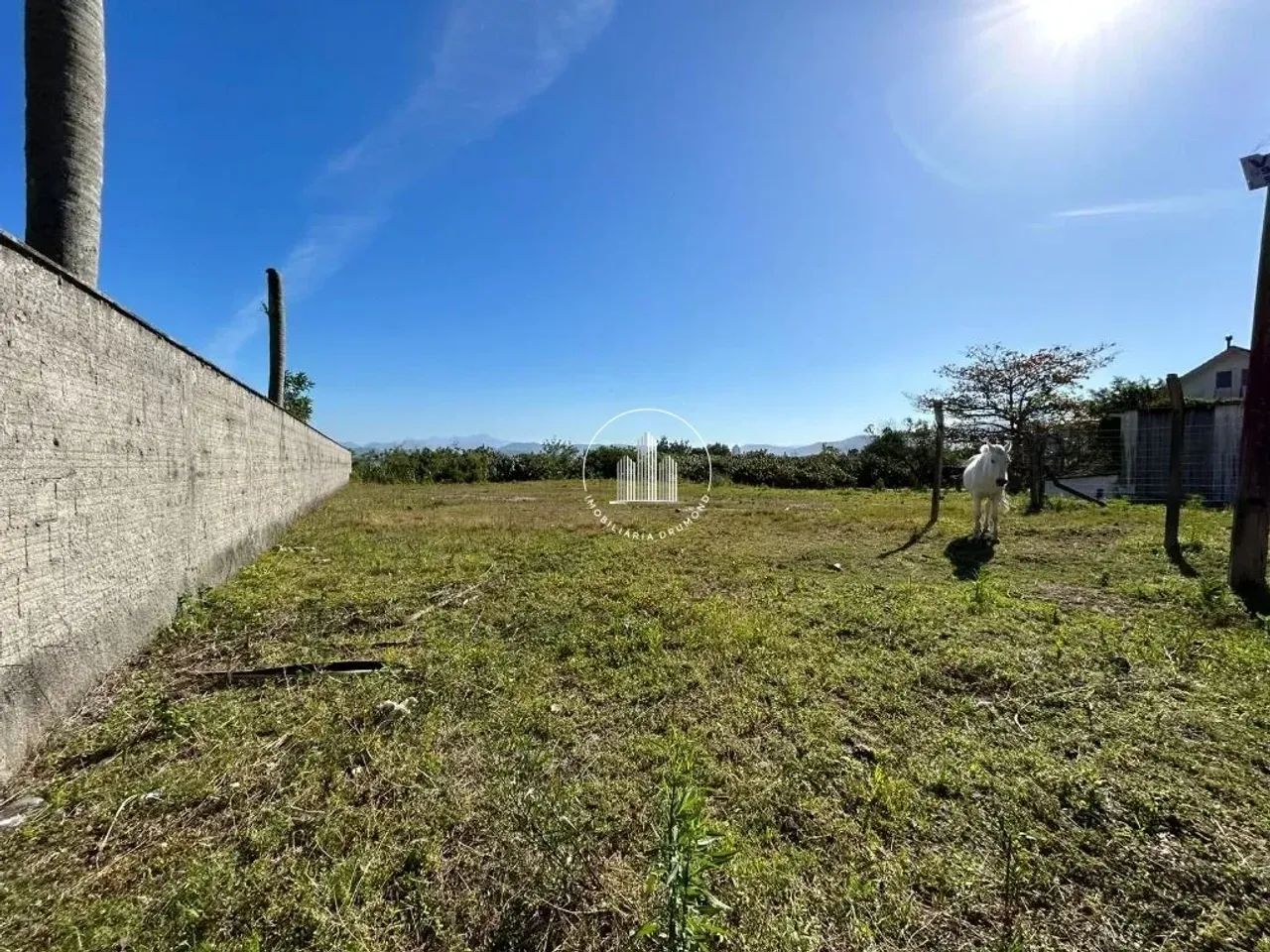 Terreno em Ponta de Baixo - Foto 3