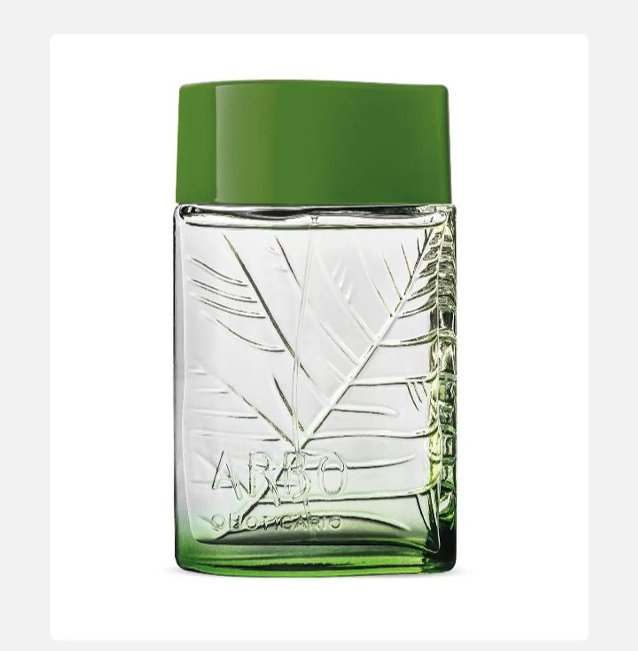 Perfume Arbo Homem 100ml