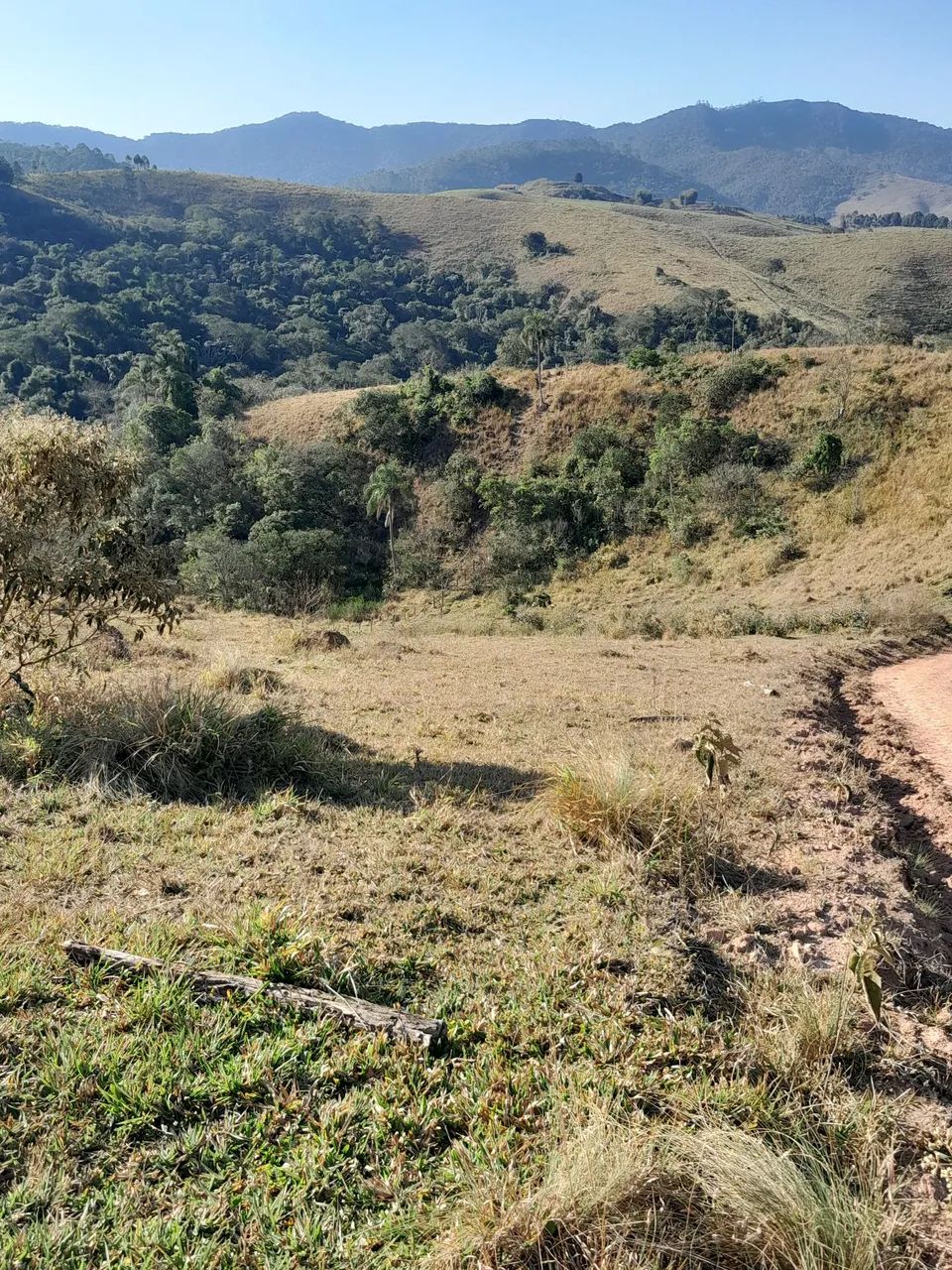 Foto - Santa Isabel - 