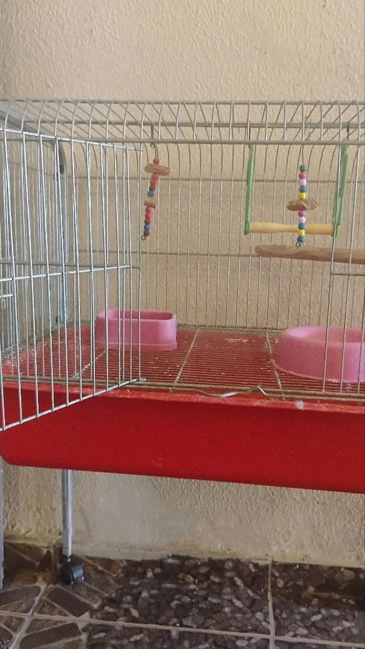 Gaiola para Pássaros - Foto 3