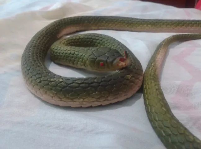Cobra Serpente Verde Longa De Borracha Natural World