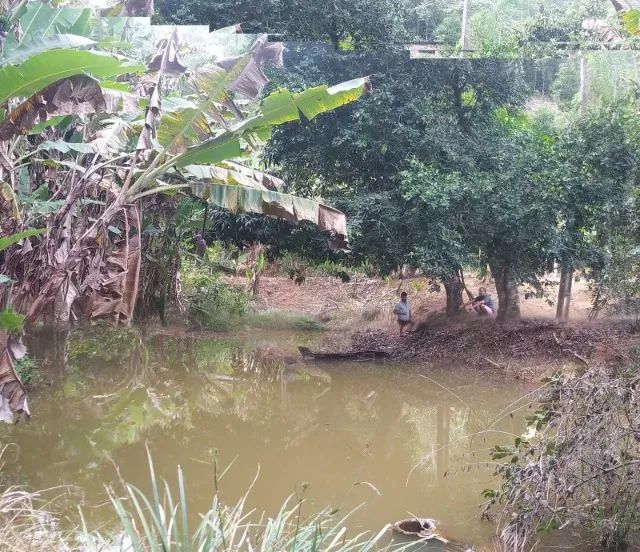 Oportunidade Única  Sítio 40.000m² entre Santa Teresa e Sta Maria Jetibá ES