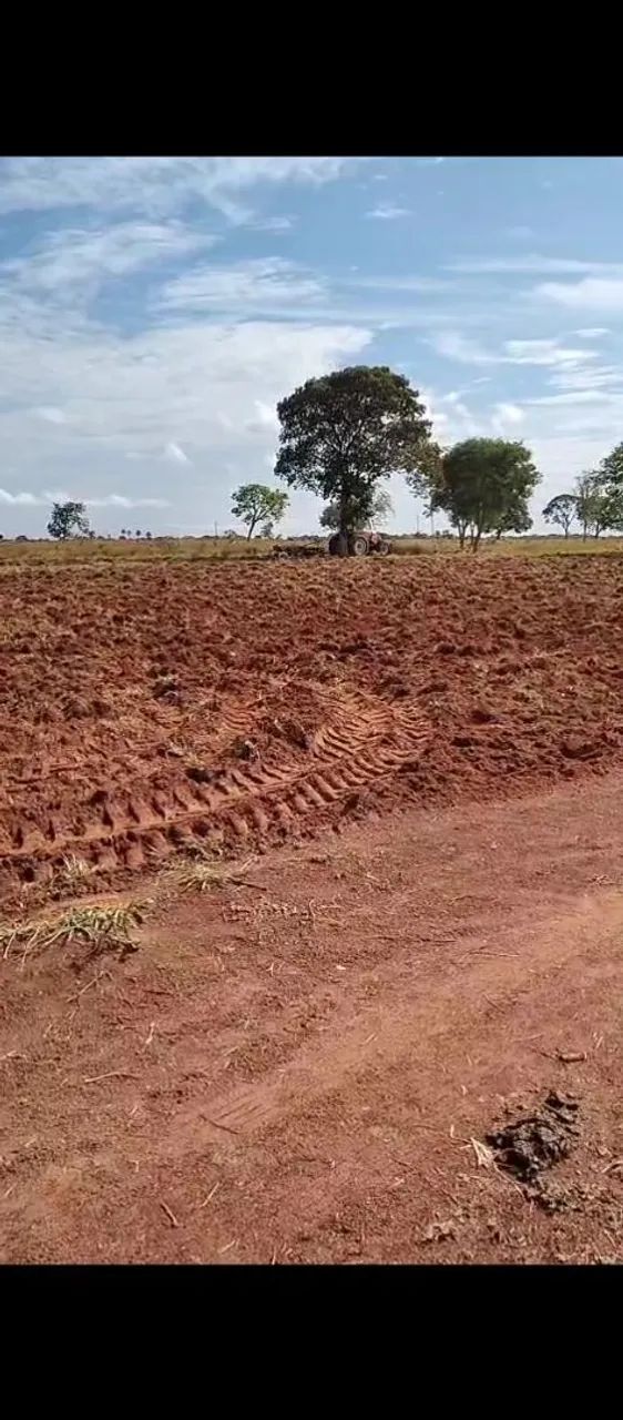 Fazenda Goi ás - Mara Rosa  - Foto 2
