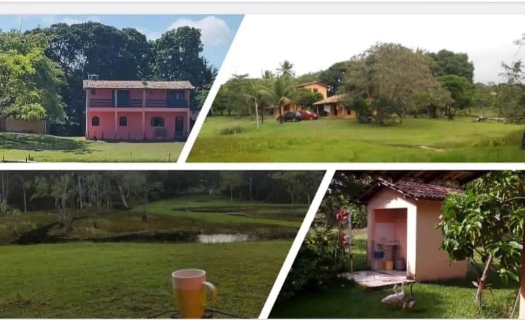 Fazenda 38 hectares - Recanto Patioba - Foto 2