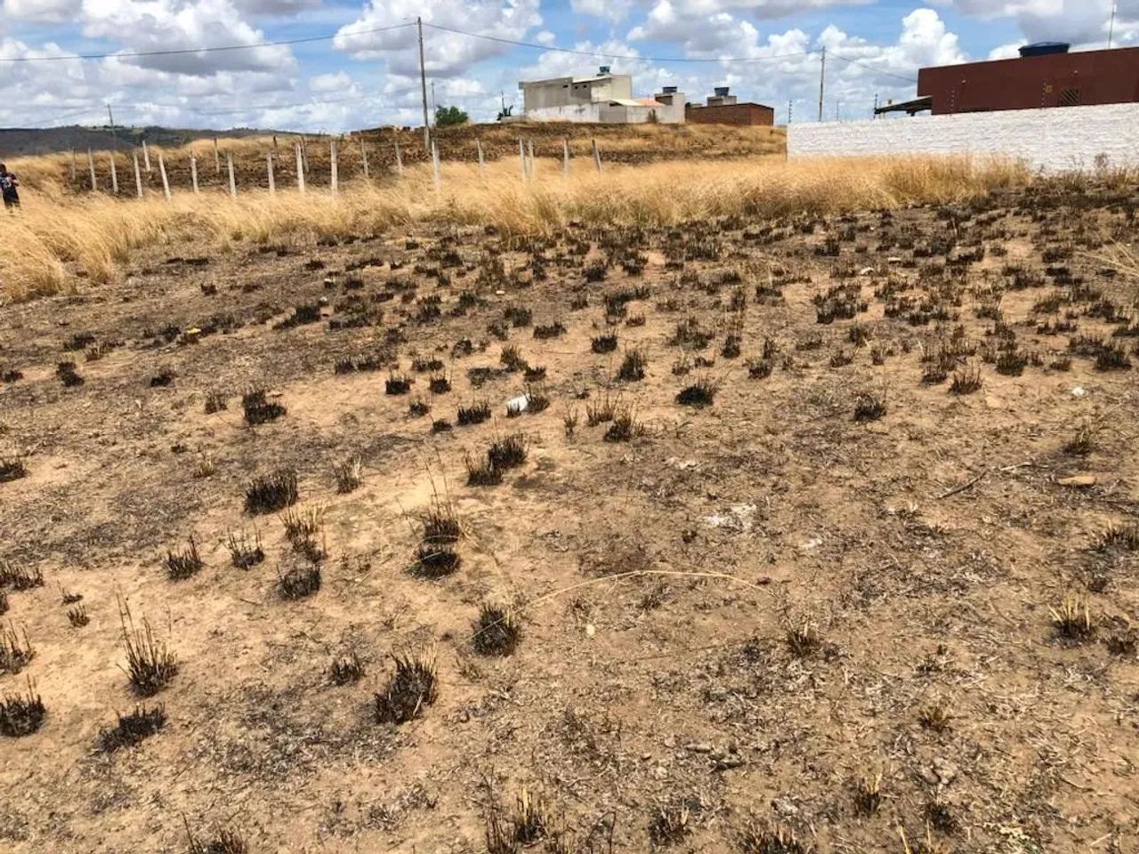 Terreno 12,00m x 25,00m em Timbaúba, Aceito Automóvel, Excelente Localização - Foto 4