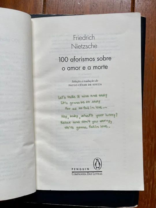 Friedrich Nietzsche 100 aforismos sobre o amor e a morte - Foto 3
