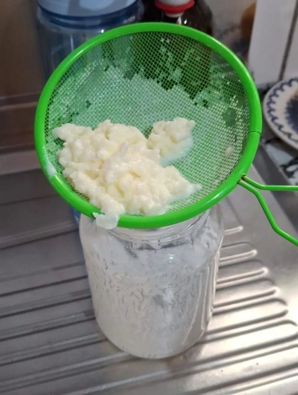 Muda de Kefir de Leite