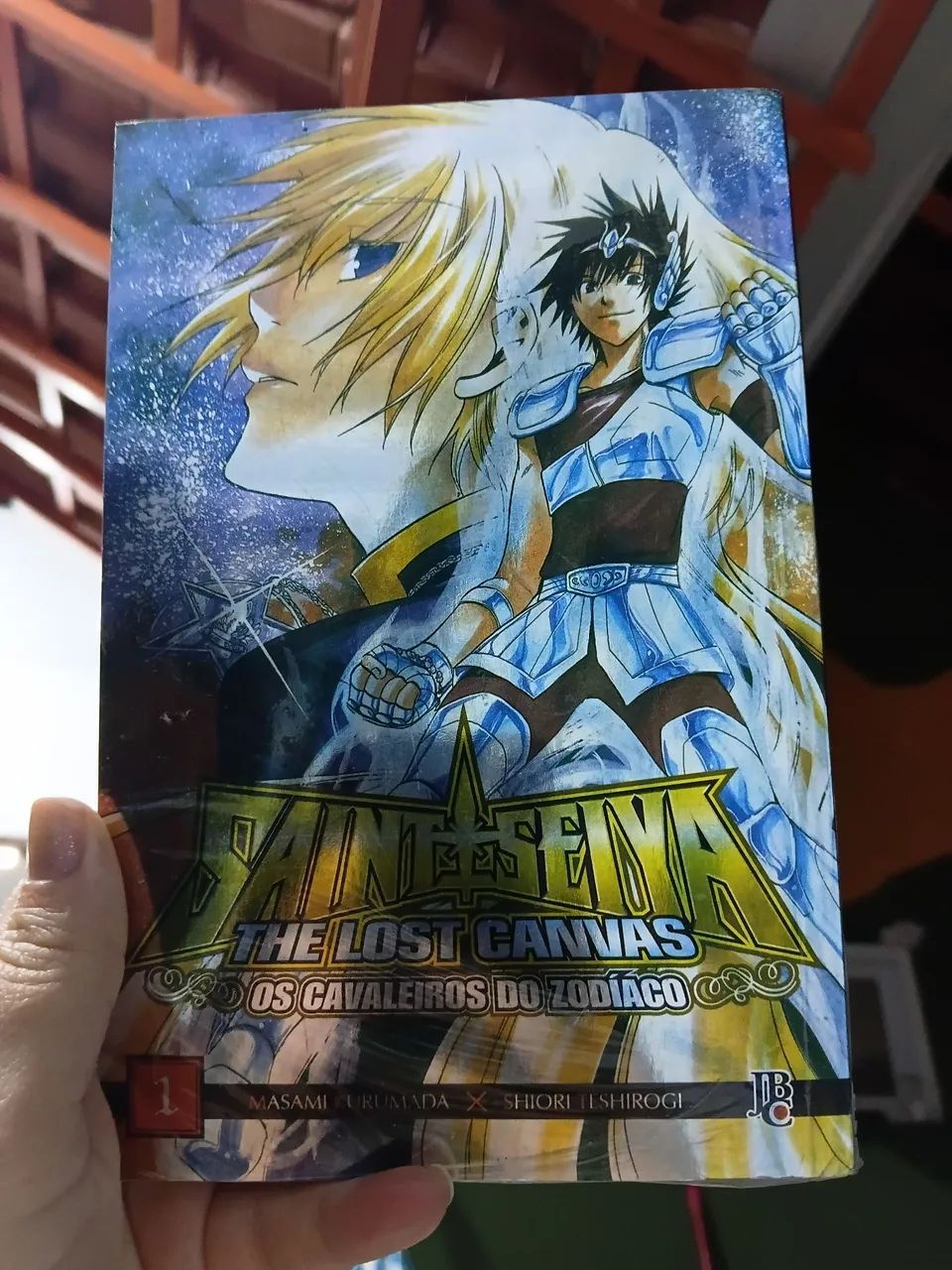 The lost canvas 1