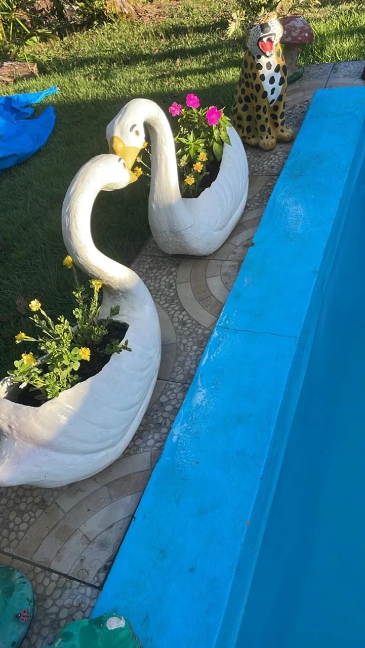 Chácara com tudo dentro - Foto 2