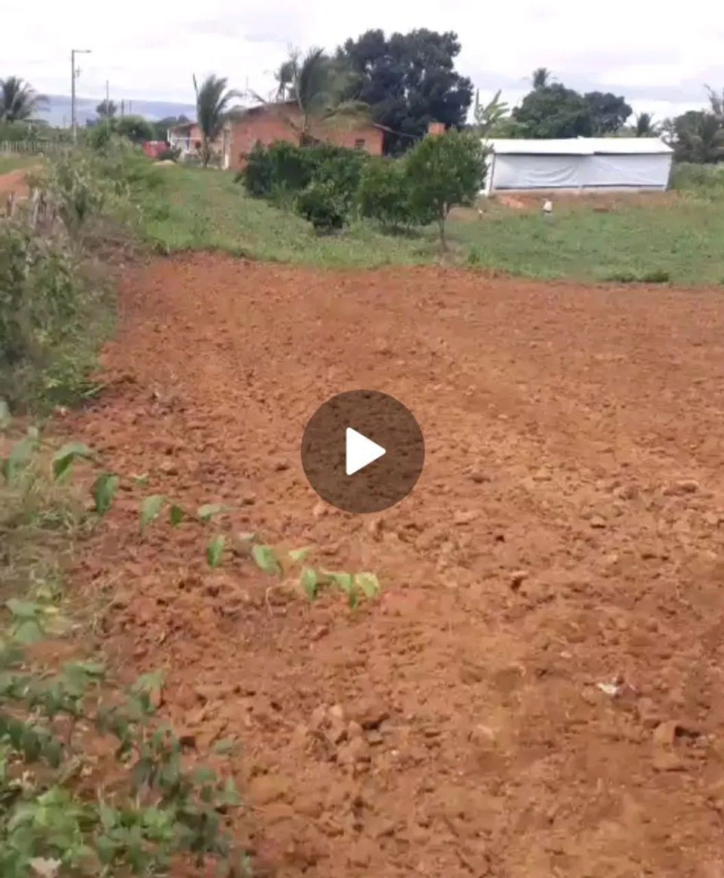 Terreno  - Foto 4
