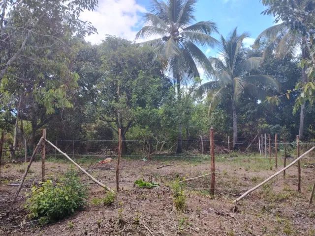 Terreno Ilha de Itaparica - Foto 3