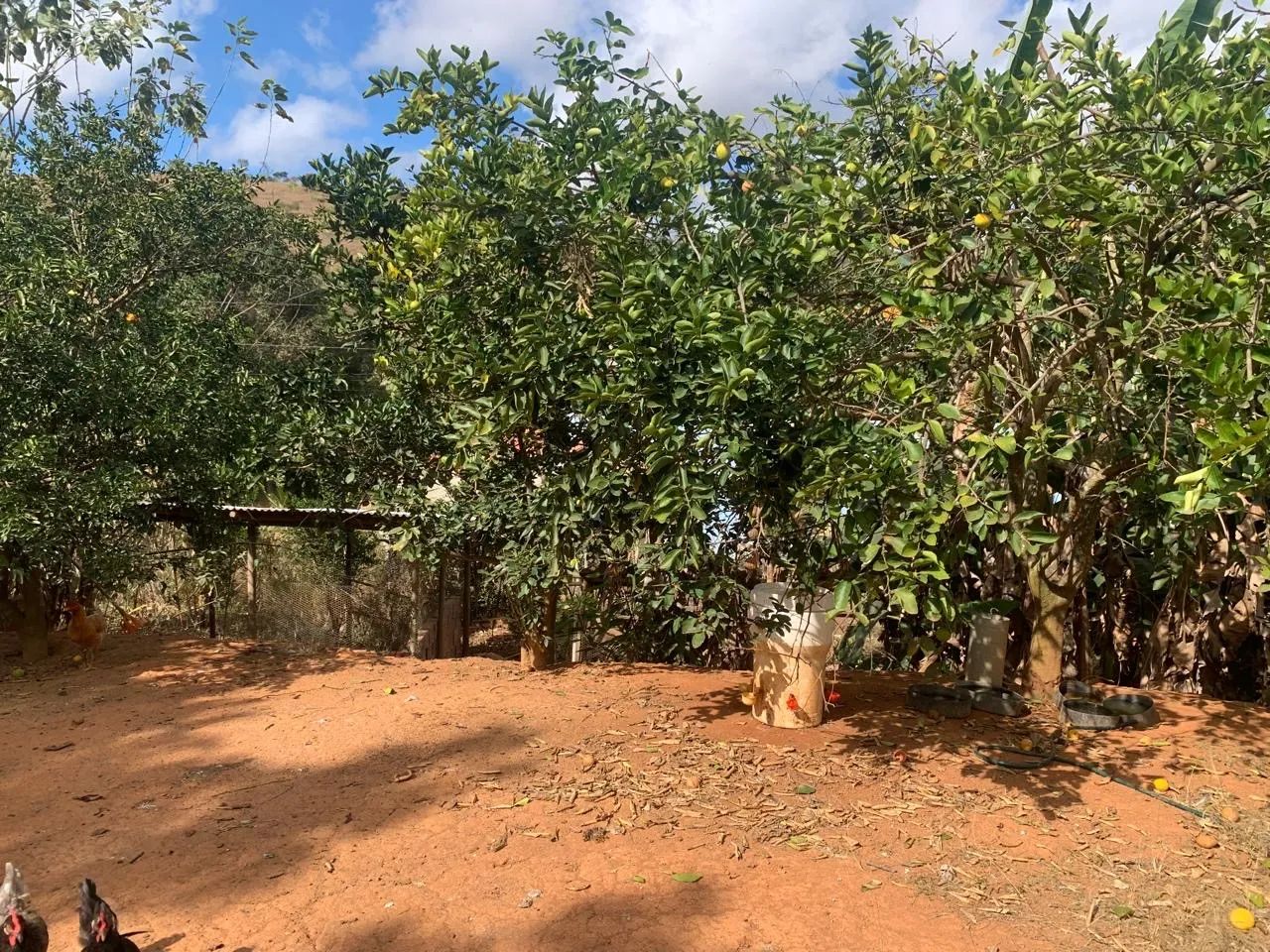 Chácara à 35km de Ipatinga  - Foto 2