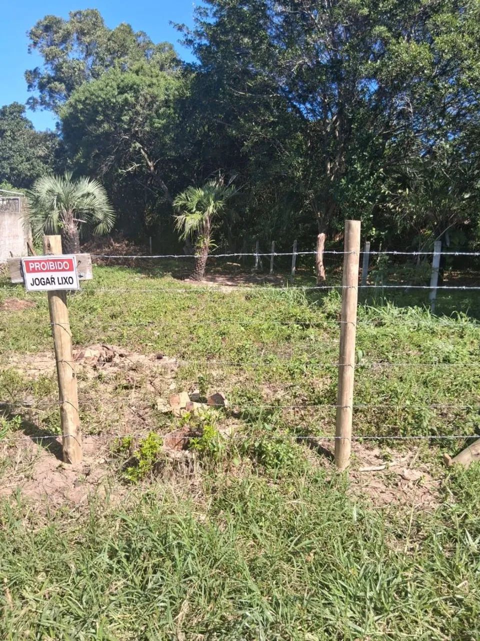 Terreno laguna  - Foto 2