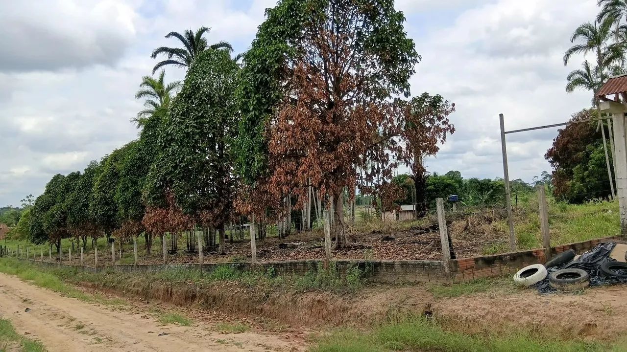 Vende-se Chácara  - Foto 2