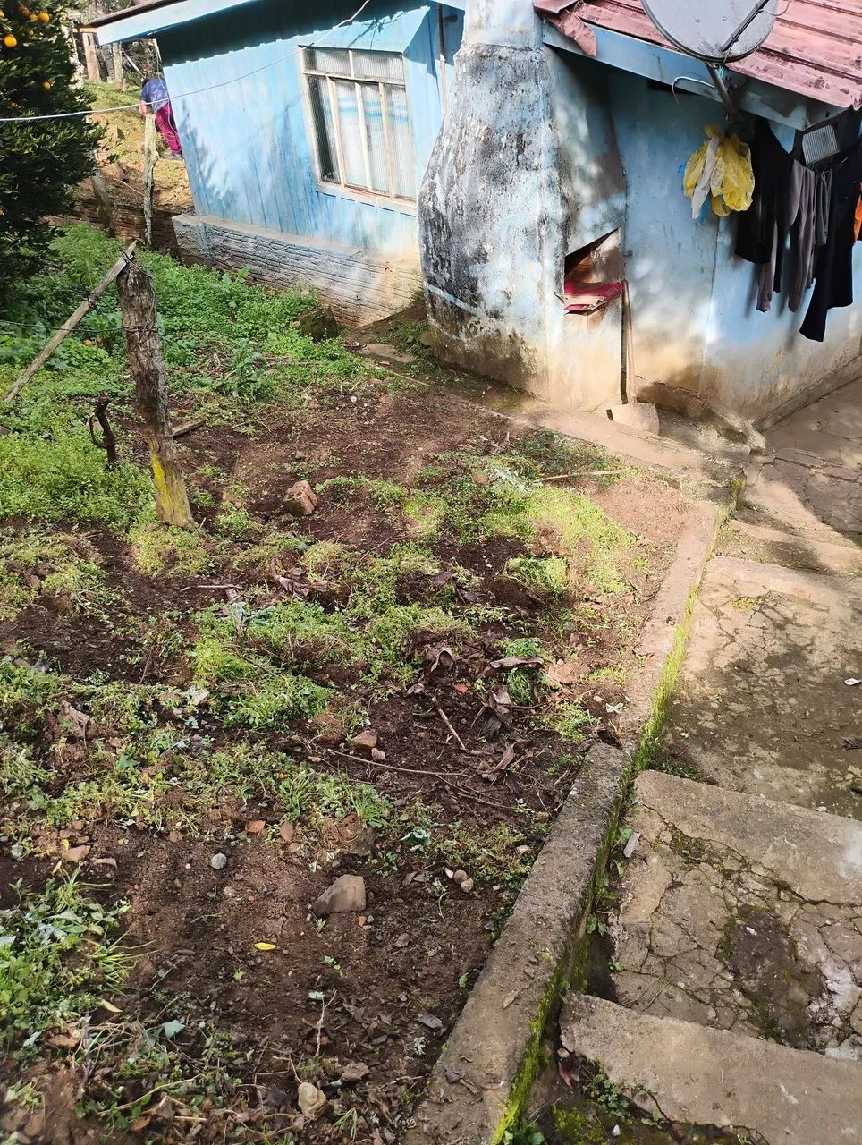 Terreno com casa de madeira  - Foto 5