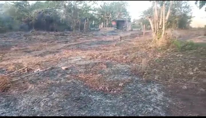 Terreno - Foto 2