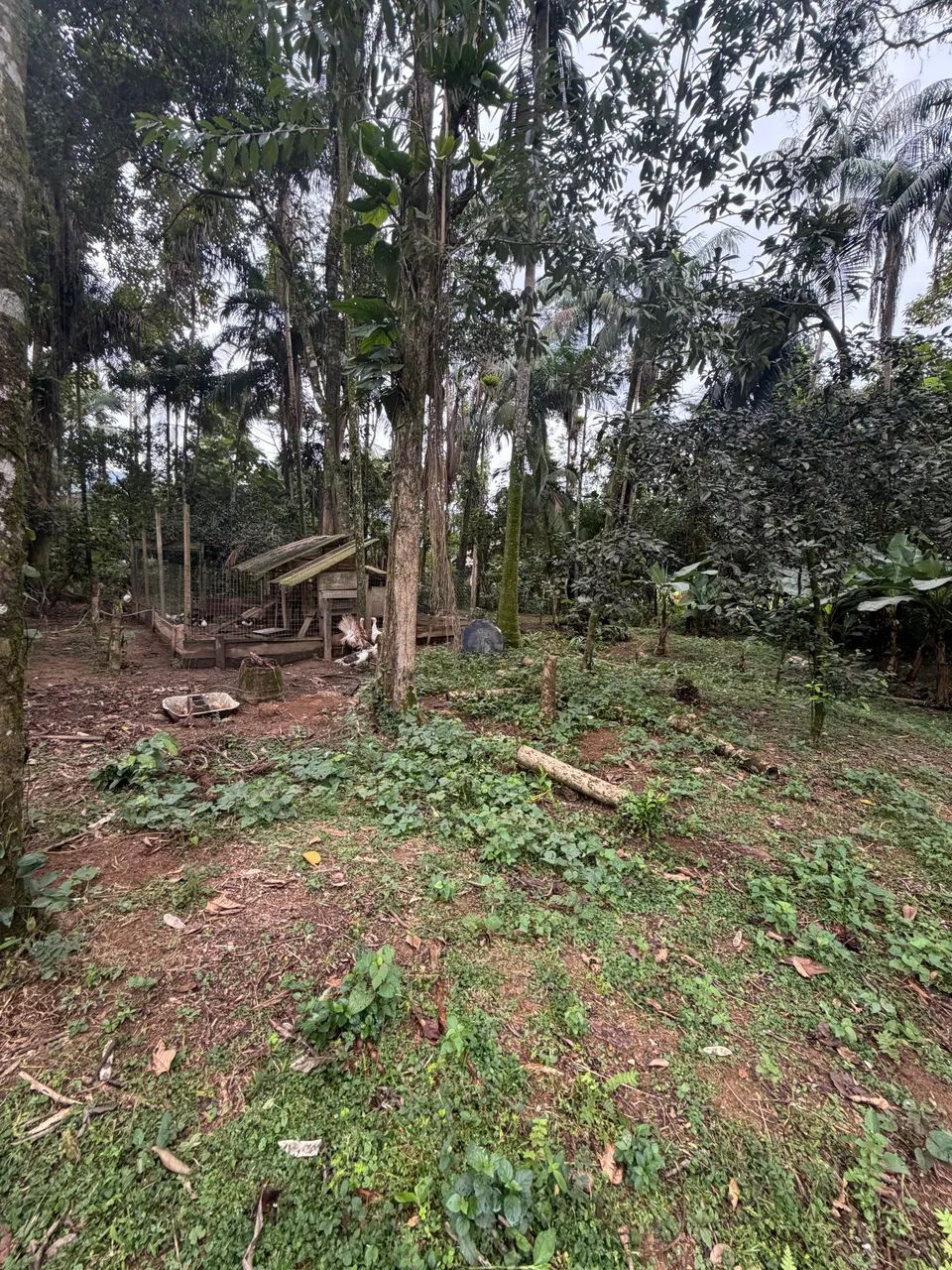 Linda Chácara - Garuva - Foto 2