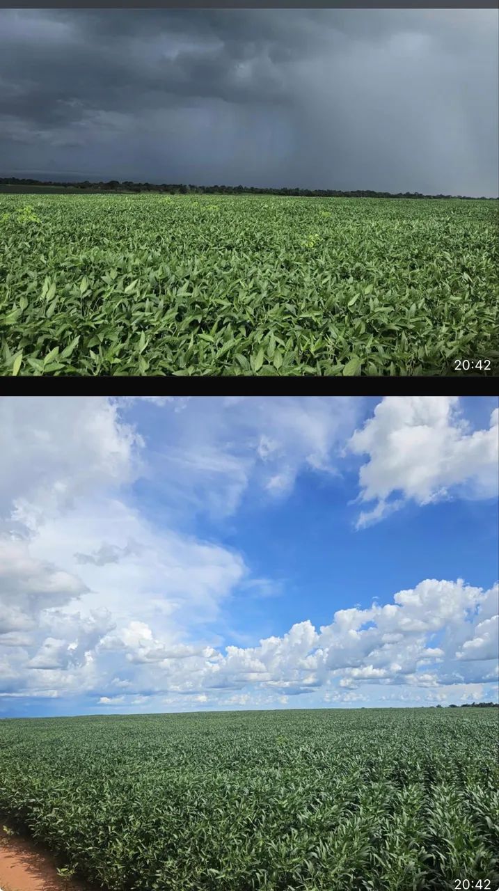 Fazenda próximo a campina verde  - Foto 4