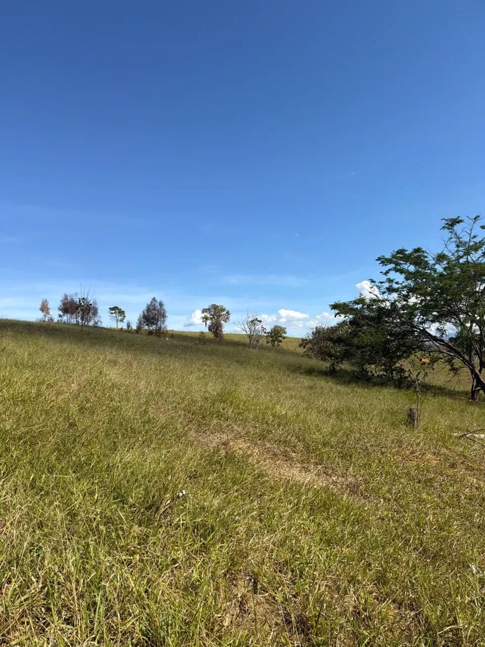fazendinha em Timbui - Foto 2
