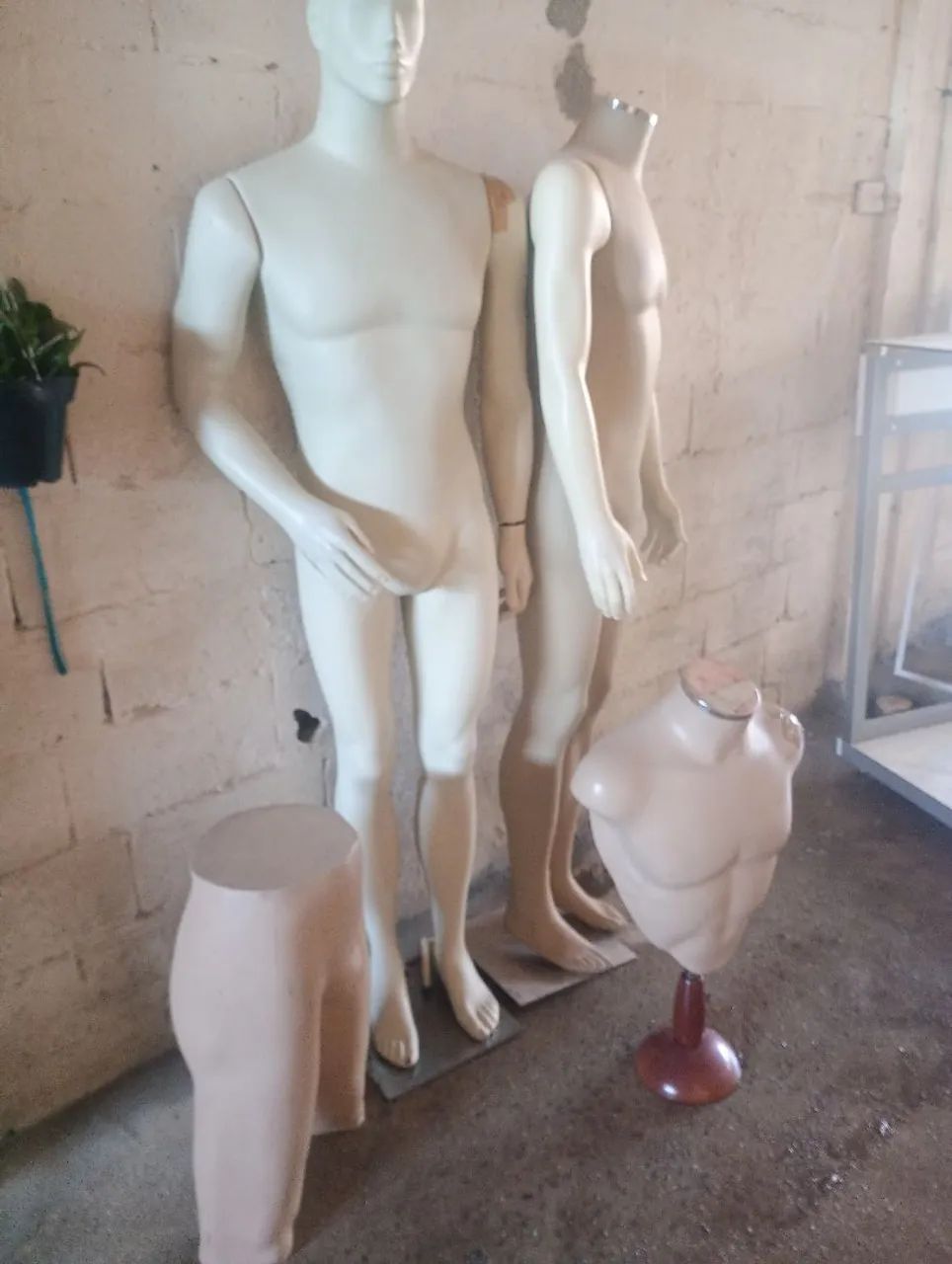 Maniquins masculino  - Foto 3