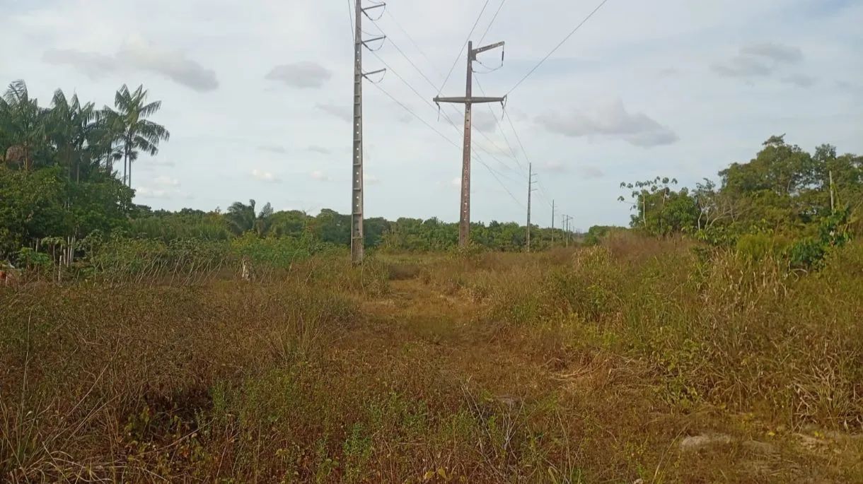 Terreno 