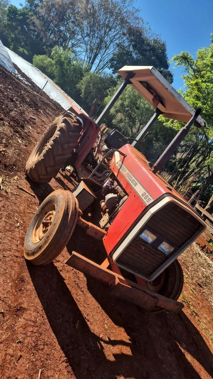 Massey Ferguson 265  * - Foto 5